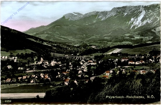 ak105406 Payerbach, Reichenau