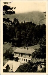 Puchberg am Schneeberg, Landesjugendheim