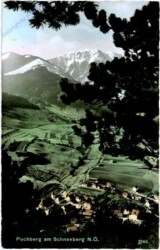 Puchberg am Schneeberg, Ortsansicht