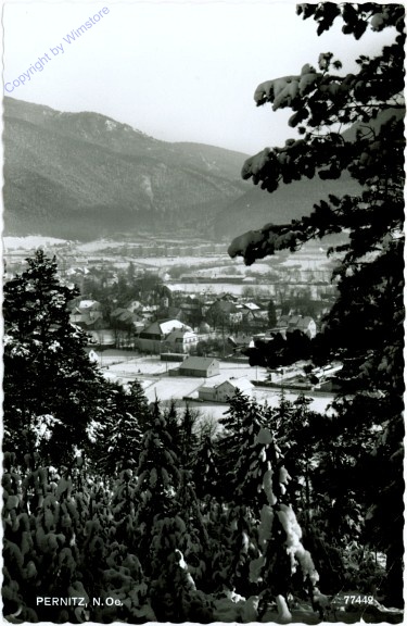 Pernitz, Ortsansicht