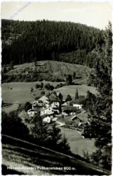 Puchenstuben, Ortsansicht