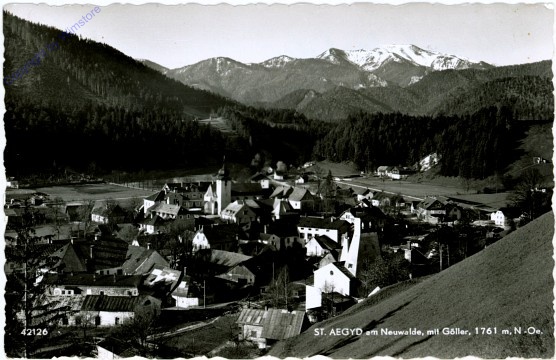 St. Aegyd am Neuwalde, Ortsansicht mit Göller