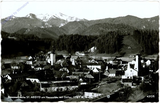 St. Aegyd am Neuwalde, Ortsansicht mit Göller