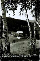 St. Corona, Gasthof, Pension Gruber "Bergödenhof"