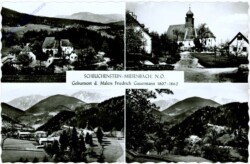 Miesenbach, Scheuchenstein, Multiansicht