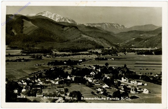 Pernitz, Ortsansicht