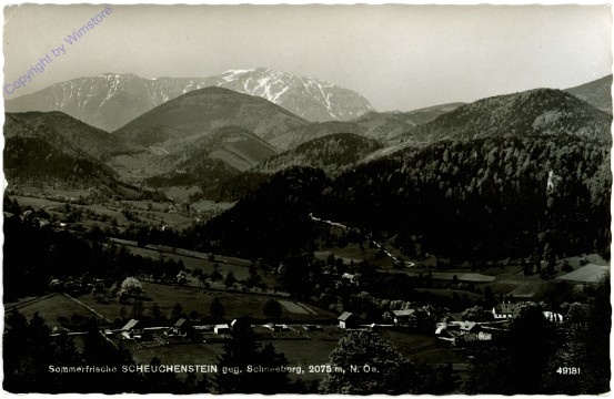 Scheuchenstein, Ortsansicht gegen Schneeberg