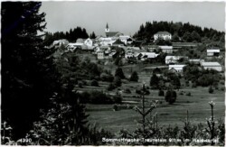 Bad Traunstein, Ortsansicht