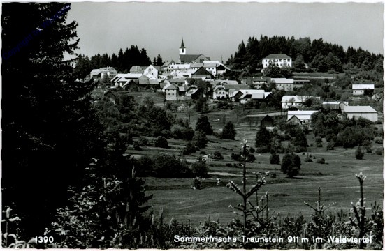 Bad Traunstein, Ortsansicht