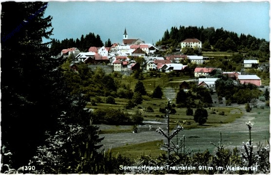 Bad Traunstein, Ortsansicht