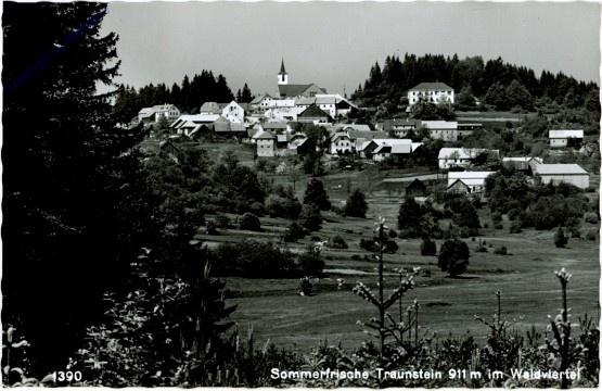 Bad Traunstein, Ortsansicht