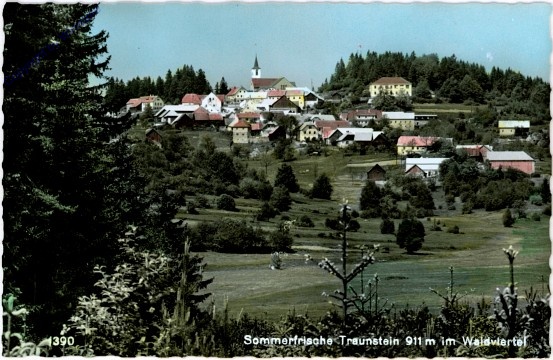 Bad Traunstein, Ortsansicht
