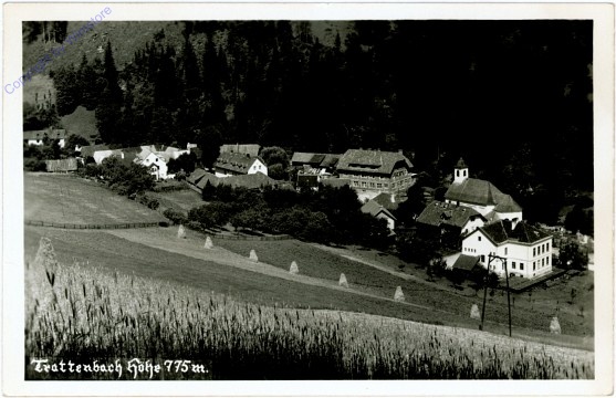 Trattenbach, Höhe