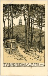 Tulbinger Kogel, Warte