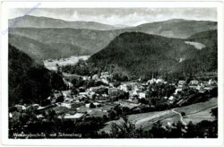Weissenbach a.d. Triesting, mit Schneeberg