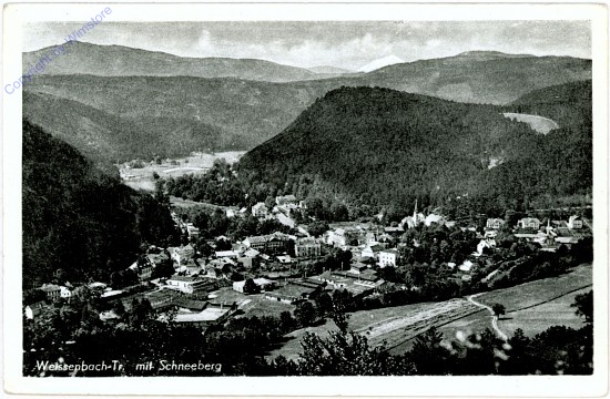 ak105882 Weissenbach a.d. Triesting, mit Schneeberg