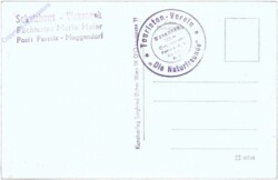 Waxeneck, gegen den Schneeberg