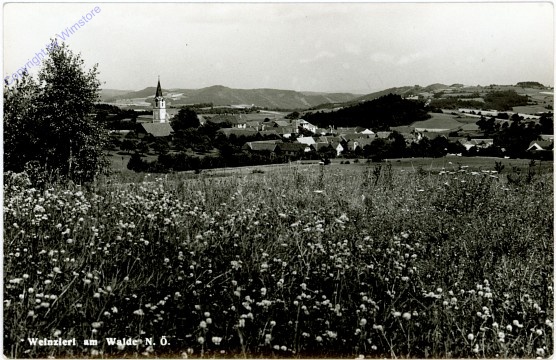 Weinzierl am Walde, Ortsansicht