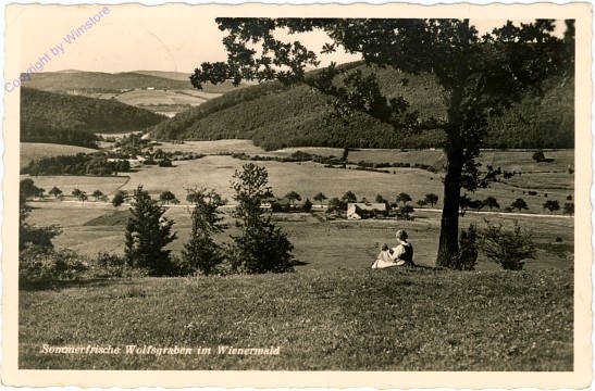 Wolfsgraben, Ortsansicht