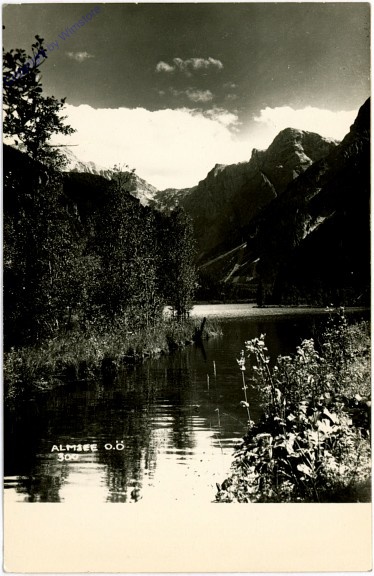 Almsee, Ansicht
