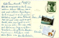 Attersee, Segelsport