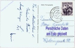 Almsee, Ansicht