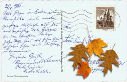 Bad Goisern, Ortsansicht