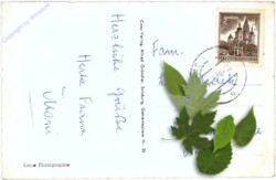 Bad Ischl, Esplanade