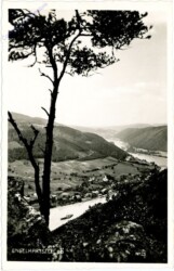 Engelhartszell, Ortsansicht