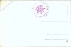 Großer Priel, Gipfelkreuz