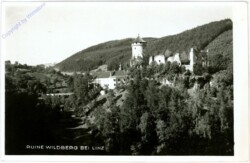 Linz an der Donau, Ruine Wildberg