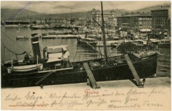 Fiume, "Aurora M."
