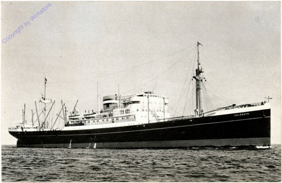 Dalerdyk, Holland-America Line