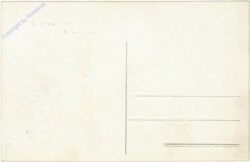 Zelzate, De nieuwe brug