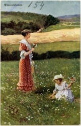 ak107455 Wiesenblumen