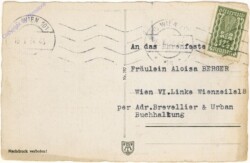 Ein Seehund lag am Meeresstrand ...