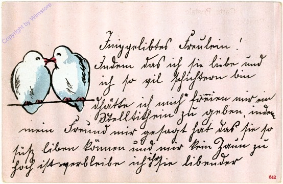 Tauben