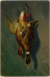 Enten