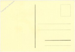 ak108144a Gänsemagd