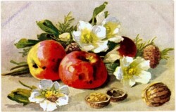 Äpfel