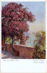 Sonniges Gestade