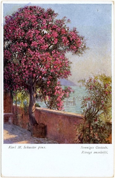 ak108280 Sonniges Gestade