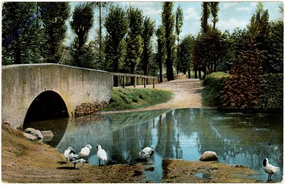 Brücke