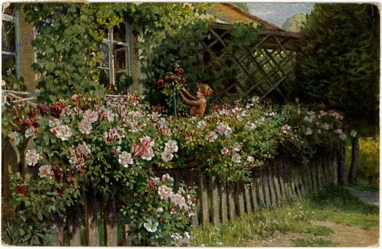 Der Rosengarten