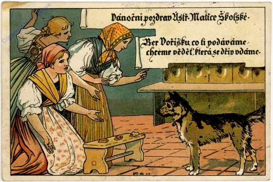 Hund vor drei Frauen