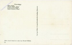 Auf der Pußta "Mata"