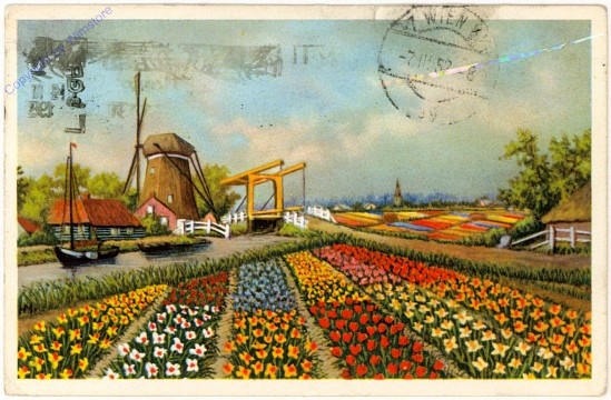 ak108485 Tulpenfelder