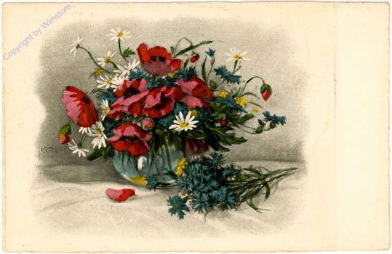 Mohnblumen