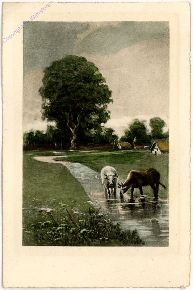 Bachlauf