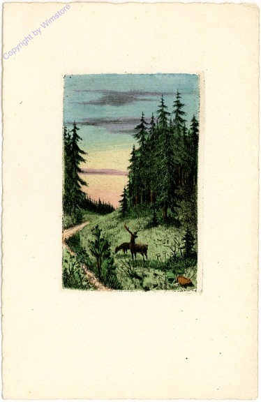 Waldweg